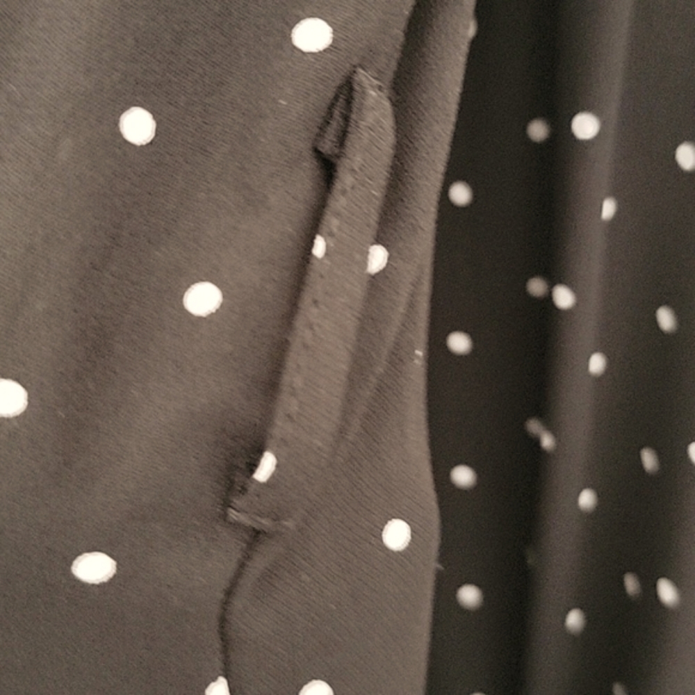 Zara Basic Collection Polka-Dot Button-Down Ballo… - image 3